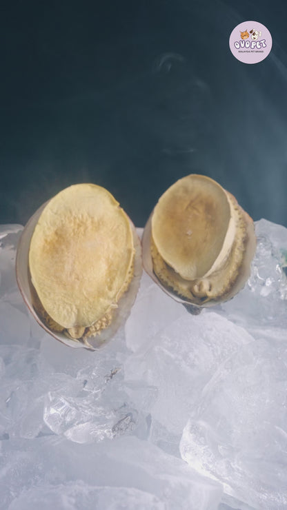 Homemade Freeze Dried Abalone